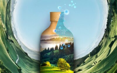 Innovar rápido y sin perder margen. El reto de las empresas que nos alimentan