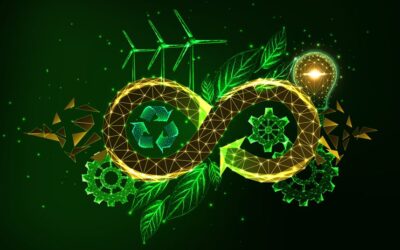 Circularidad y gemelo virtual: Claves para desarrollar productos sostenibles