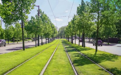 Cómo los grandes OEMs ferroviarios están usando 3DEXPERIENCE para transformar su cadena de valor